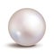 Vector pearl isolated on white background. Shiny oyster ball for luxury accessories