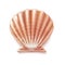 Vector pearl seashell mother shell luxury sign