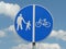 Vector the pedestrian and bicycle paths with natural background