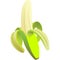 vector Peeled ripe green banana