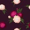 Vector peonies. Seamless pattern of light pink and burgundy flowers. Bouquets of flowers on burgundy background. Template for