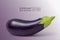 Vector photo-realistic fresh aubergine on a transparent background