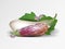 Vector photo-realistic fresh aubergine on a transparent background. 3D eggplant illustration.