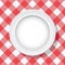 vector picnic tablecloth and empty plate