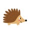 Vector picture of small cartoon hedgehog. White background