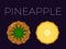 Vector of Pineapple, Ananas and sliced half of Pineapple, Ananas on dark background