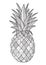 Vector pineapple antistress doodle coloring book page for adult. Tropical exotic fruit black and white illustration