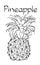 Vector Pineapple Vegetarian healthy treating hand drawn illustration. Use for bar, cocktail, flyer, banner, store