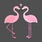 Vector pink flamingos illustration.