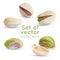 Vector Pistachio kernel. Realistic green nuts background. Pistachios nuts isolated on white.