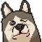 Vector pixel art husky face expression