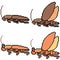 Vector pixel art set cockroach