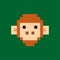 Vector pixel monkey 2