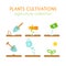 Vector plant cultivation. Sowing and planting process infographic design. Flat argiculture collection.