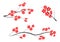 Vector Plum Blossom.Traditional chinese elements.