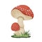 Vector Poisonous Inedible Mushroom Icon Isolated on White. Hand Drawn Cartoon Red Fly Agaric Mushroom Design Template