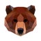 Vector polygonal bear isolated on white. Low poly bear illustration.