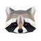 Vector polygonal raccoon isolated on white. Low poly raccoon illustration.