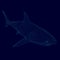 Vector polygonal shark wireframe of blue lines on a dark background. Isometric view. 3D. Vector illustration