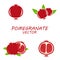 Vector Pomegranate icons set