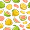 Vector Pomelo seamless pattern