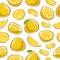 Vector Pomelo seamless pattern