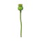 Vector poppy flower stem, closed bud isolated