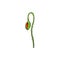 Vector poppy flower stem, closed bud isolated