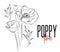 Vector poppy flowers decorative print. Nature flowers black white illustration. Poppier bloom summer plants. Botanical