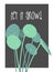 Vector popular Pilea peperomioides chinese money ufo plant illustration