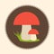 Vector Porcini Mushrooms Flat Design Illustration EPS 10 Logo