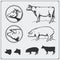 Vector pork and beef meat labels and design elements. Butcher`s business logos. Silhouettes of pig and cow.