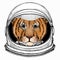 Vector portait of small baby lion head, face. Safari animal. Astronaut animal. Vector portrait. Cosmos and Spaceman