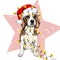 Vector portrait of beagle dog wearing santa hat Christmas lights garland. Isolated on star and snow. Skecthed color
