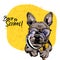 Vector portrait of french bulldog dog with magnifying glass and big nose reflection. Back to school illustration. Math