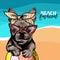 Vector portrait of French bulldog dog weas sunglasses and retro bandana. Summer fashion illustration. Sea, beach, ocean