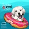 Vector portrait of Labrador retriever dog swims in water. Donut float. Summer pool paty illustration. Sea, ocean, beach