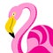Vector portrait of a pink flamingo