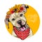 Vector portrait of Pit Bull Terrier dog wearing autumn leaves crown. Hello fall illustration. Oak, maple, chestnut