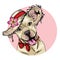 Vector portrait of pit bull terrier dog wearing straw hat, flower and polka dot bandana. Summer fashion illustration