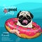 Vector portrait of pug dog swimming in water. Donut float. Summer pool paty illustration. Sea, ocean, beach. Hand drawn