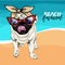Vector portrait of pug dog wearing sunglasses and retro bandana. Summer fashion illustration. Vacation, sea, beach