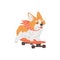 Vector poster with cartoon smiling Corgi dog enjoy ride on pink skateboard, purebred breed of furry dog, pet character