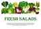 Vector poster of fresh salads leafy vegetables