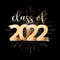 Vector poster with quote Class of 2022 with golden firework