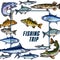 Vector poster template for fishing trip sketch
