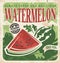 Vector poster template for watermelon farm