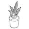Vector potted flower. Hand drawn doodle plant in flower pot. Houseplant, home decoration. Outline black and white illustration