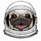 Vector pug, dog portrait. Animal head, face. Astronaut animal. Vector portrait. Cosmos and Spaceman. Space illustration