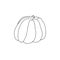 Vector pumpkin hand drawn outline doodle illustration isolated image, food sketch